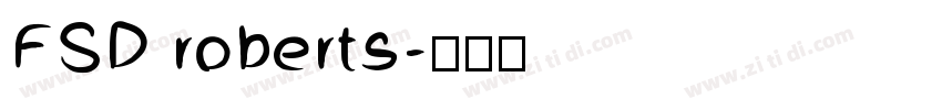 FSD roberts字体转换